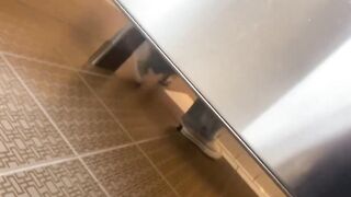 Understall_Peeing_and_Pooping_Public_Toilets ipcam
