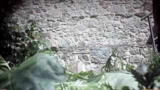Latina_Pissing_Compilation_0004 ipcam