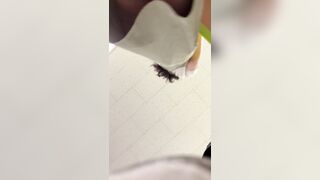 ㅈㅉ 업스모음 korean bj (2)