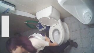 Toilet Voyeur sifangktv 1242 ipcam (5)
