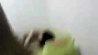 잡영상 모음 (85)