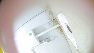 Toilet Voyeur sifangktv 1017-1019 ipcam