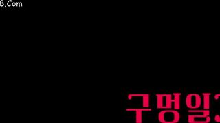 Hole Diary korean porn