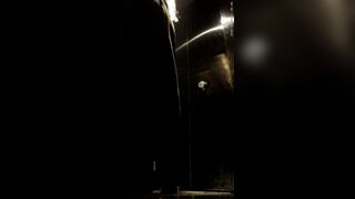Toilet Voyeur sifangktv 864-866 ipcam (7)