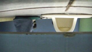Toilet Voyeur sifangktv 481-484 2 (14)