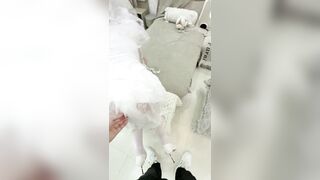 【潮吹きできるお姉さん】❤️ネット中の敏感ボディに挑戦するもう一つの傑作。100万人に1人の痴女が7日間禁欲。時間貸し部屋、渇望近親相姦 china