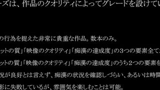 真・ 玄人痴漢 ﾌｧｲﾙ 029-031（Ｂ級） voyeur jp 3