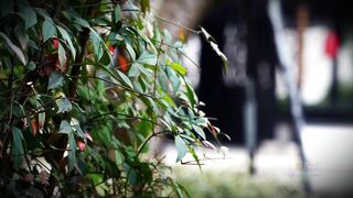 淘氣柴郡被哥哥內射中出 哥哥你幹的我好爽 明紗悠子 - china