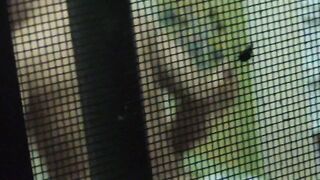 창문으로 옆집 몰래 도촬 korean porn vip ipcam (1) 3