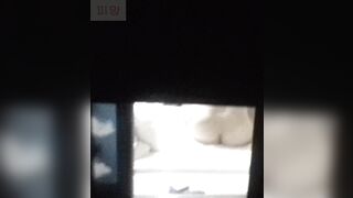 창문으로 옆집 몰래 도촬 korean porn vip ipcam (3) 2