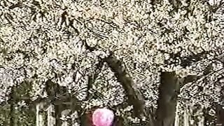 【これマジなヤツ】【ガチレイプ】【処女喪失】激カワお姉さんのマジレイプ映像02 03 jav jvip 2