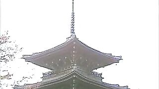 清岡ビデオ　舞妓Ⅱ 秀美 jvip 01