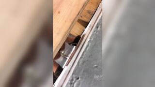 Toilet Voyeur sifangktv 2692-2694 3 14