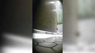 驚くほど美しい「白虎」美女たち —— 用を足しても拭かない女の子たち（動画17本）［『The Room』オリジナル版］ toilet 1 01