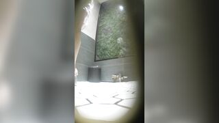 驚くほど美しい「白虎」美女たち —— 用を足しても拭かない女の子たち（動画17本）［『The Room』オリジナル版］ toilet 1 02
