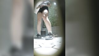 驚くほど美しい「白虎」美女たち —— 用を足しても拭かない女の子たち（動画17本）［『The Room』オリジナル版］ toilet 1 08