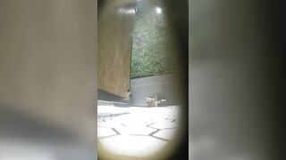 驚くほど美しい「白虎」美女たち —— 用を足しても拭かない女の子たち（動画17本）［『The Room』オリジナル版］ toilet 2 03