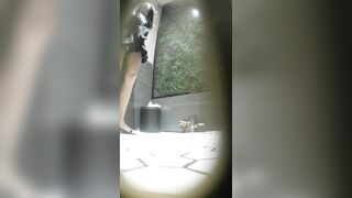 驚くほど美しい「白虎」美女たち —— 用を足しても拭かない女の子たち（動画17本）［『The Room』オリジナル版］ toilet 2 07