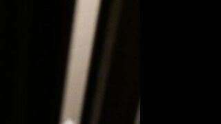 隠し撮りコンピレーション #2：シャワー・自慰・セックスに興じる少女、熟女、そして大人の美女たち [オリジナルソース] toilet 3 07