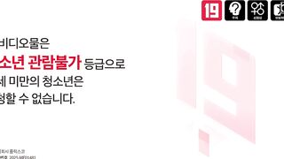 Bosomy Sisters and Suspicious Brothers korean porn