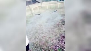 【動画79画像217】かわいくて、優しくて、エロい、理想の素人彼女が流出 jvip 51 2