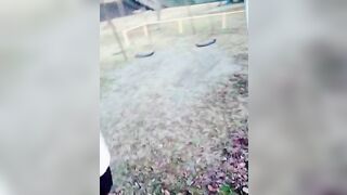 【動画79画像217】かわいくて、優しくて、エロい、理想の素人彼女が流出 jvip 54 2