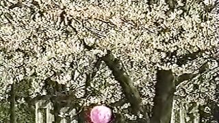 【これマジなヤツ】【ガチレイプ】【処女喪失】激カワお姉さんのマジレイプ映像02 03 jvip