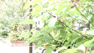 SPRD-1499 My mother-in-law wants to get pregnant too. - Akari Niimura Reducing Mosaic JAV