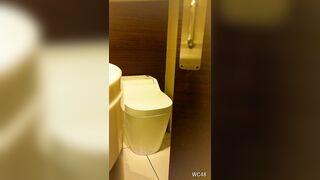 【新作】トイレオナニー盗撮 jvip