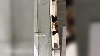 新たに流出した動画❤️ 人気オンラインセレブの自宅にある女性用トイレで、女性ライブ配信者が排尿する様子を、一流カメラマンが密かに撮影しまし toilet   (7)