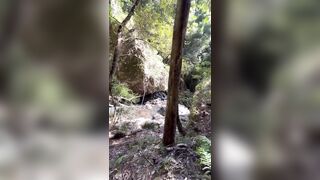 Tameeka Kerr Hiking Blowjob POV OnlyFans Video Leaked - Leak
