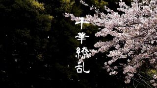 さくら＆あさひ 完品2作品お得セット（40.9GB） jvip