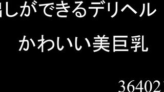 スタイル抜群の美女　２動画セット jvip