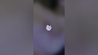 【完全保存版】インスタ・TikTok・Zoom配信の伝説シーン＆レア映像を超凝縮まとめ【期間限定公開】 - jvip 007 070526