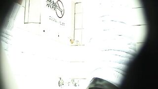 Geme Toilet 14 voyeur jp 120526