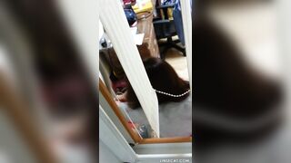 (한국야동) 창틈사이로 자위하는 여자들 korean porn vip