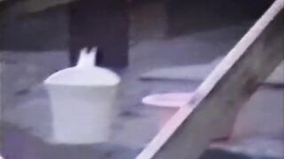 ピーピングショップ オリーブ 究極 VOL.1-2 voyeur jp 150526 01