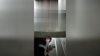 【便器下からの盗撮アングル】ご主人様による自撮り：無理やり広げられた、若く締まったマンコの接写映像――愛液の掻き出し、排便の盗撮 toilet 2 07-160526