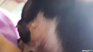 KOREAN BJ 2016111703 korean bj 170526 008