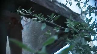【1時間越え】洋〇リの危険ボックス！！ voyeur jp 170526 21