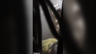 君の名は 親戚集合編 voyeur jp 180526 03