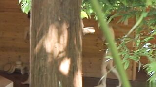 露天風呂でM字おしっこ voyeur jp 180526
