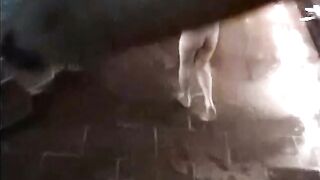 スパ★某温泉ホテル☆大盛りＫ～しかいない修学旅行☆女風呂望遠盗撮 ④ voyeur jp 180526