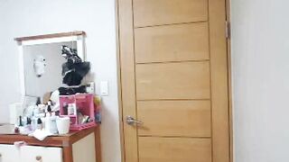 KOREAN WEBCAM 2017030406 korean bj 190526 001