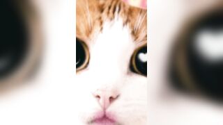 정서현 ㄱㄷㅈ 2 korean porn vip