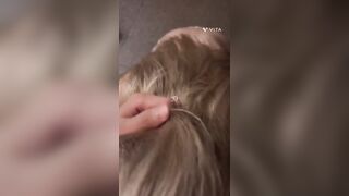 (한국야동) 떡치는 재미에 푹빠진 커플 트위터 D 3탄 korean porn vip