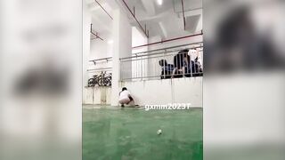 (한국야동) 야노하다 걸린 후다닥들 모음 ㅋㅋ korean porn vip