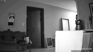 ipcam-3946